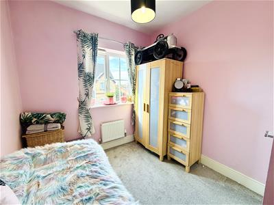 Picture 21